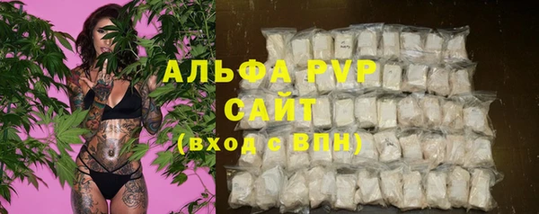 стаф Арсеньев
