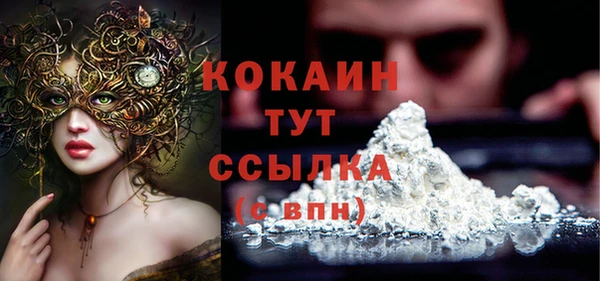 стаф Арсеньев